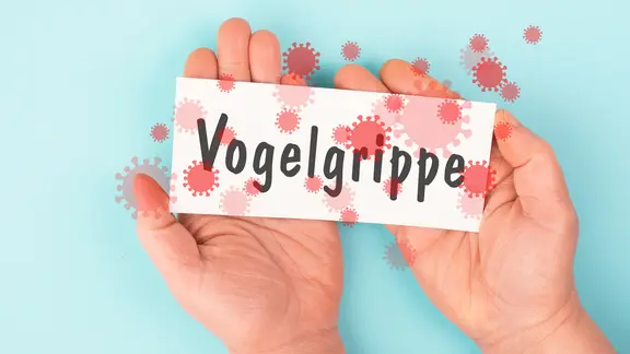 Zwei Hände halten ein Schild mit der Aufschrift "Vogelgrippe", darauf sind Viren als Grafik zu sehen.