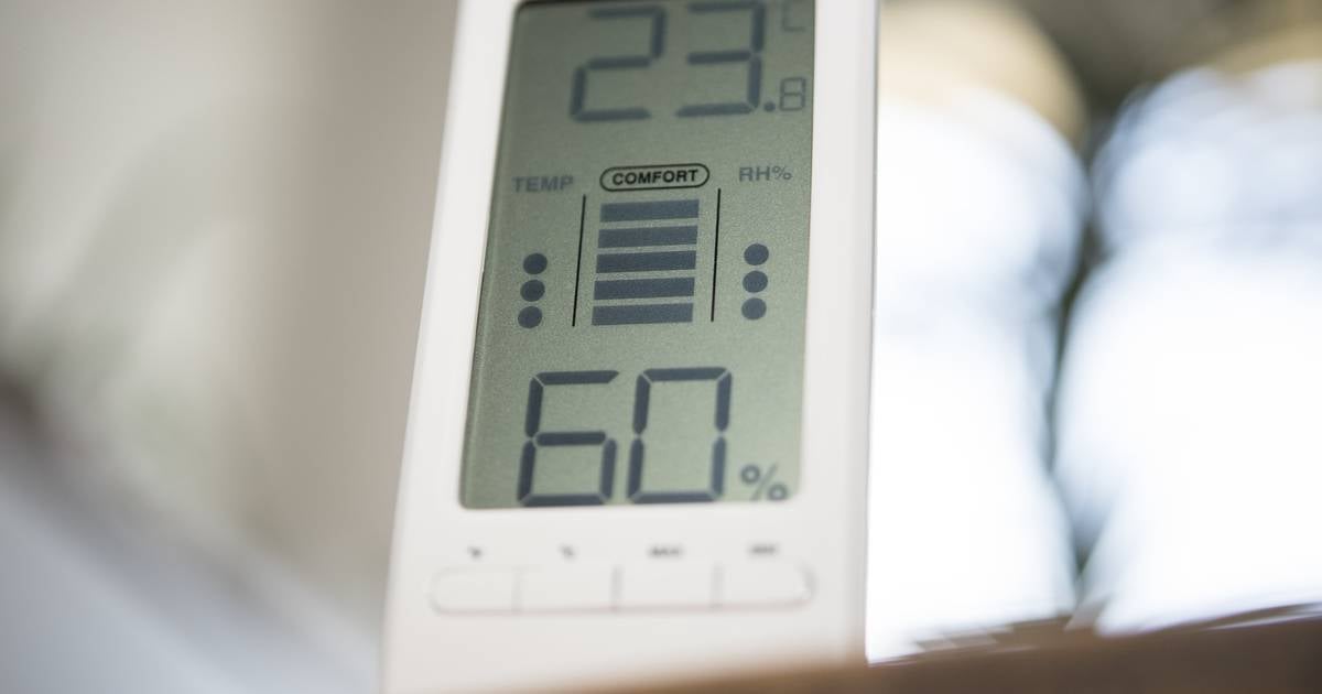 Tipps gegen Schimmel bei Energieberatung