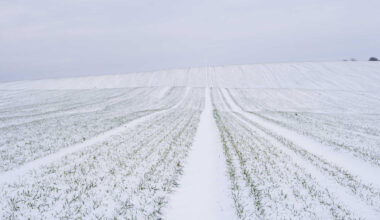 Getreidepreise vor heftiger Getreide-Preisrallye – Erfriert die Weizenernte in Russland?