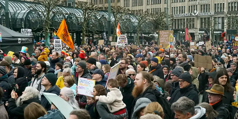 Demonstration, AfD