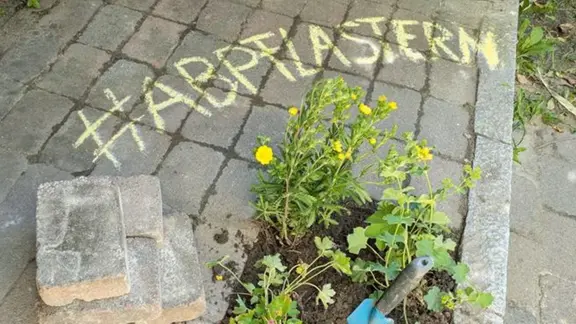 Blumen zwischen Pflastersteinen. | BUKEA / Dr. Fabian Beermann Blumen zwischen Pflastersteinen.