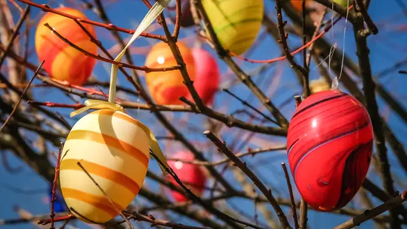 Bunte Plastikeier hängen in einem Baum | colourbox, - Bunte Plastikeier hängen in einem Baum
