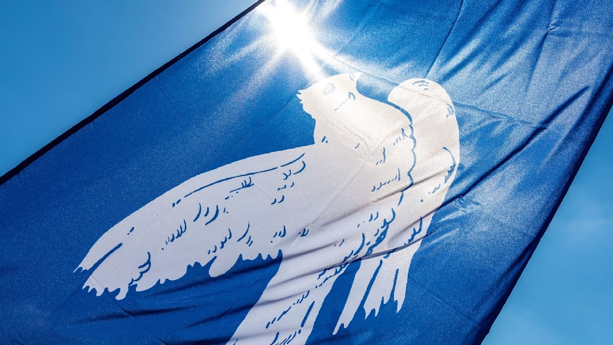 Friedensgruppen rufen zu Ostermärschen gegen Kriege auf