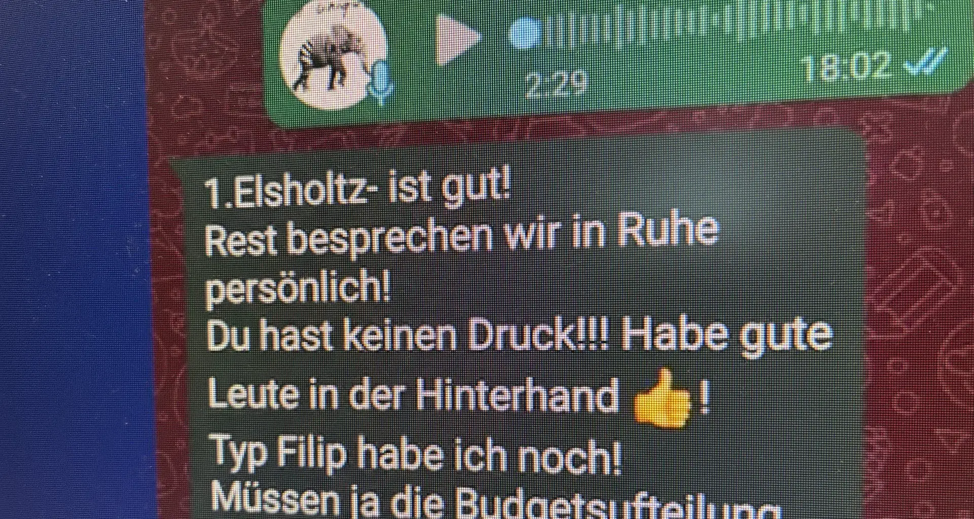 AfD Niedersachsen: WhatsApp-Chat befeuert Untreue-Vorwürfe