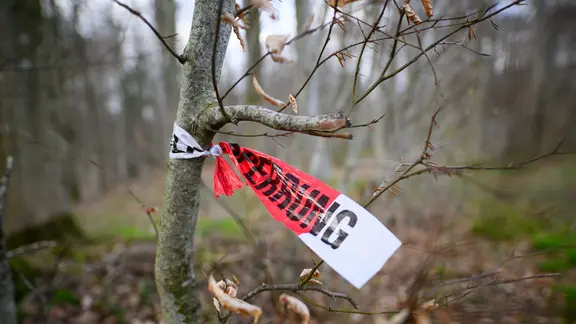 Absperrband an einem Baum