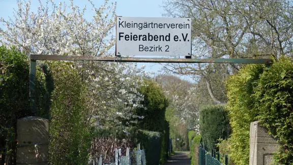 Die 45-Jährige soll sich die Fische laut Anklage lebend in ihren Kleingarten liefern lassen haben. | NDR, Anja Datan-Grajewksi Im Kleingarten "Feierabend" in Hannover sind 250 Lachsforellen erstickt.