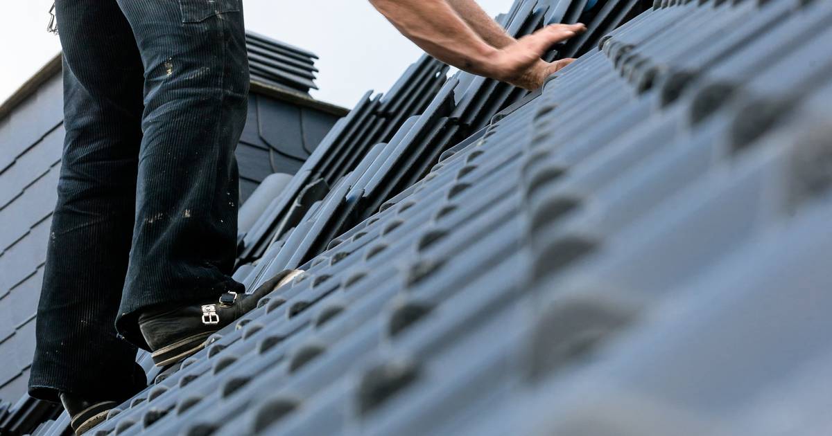Worauf Hauseigentümer im Frühjahr achten sollten