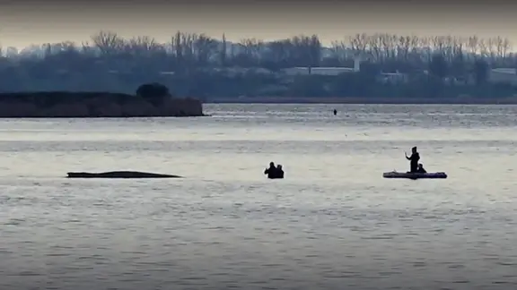 Am Morgen näherten sich Menschen auch auf einem SUP dem Wal. | NDR Am Morgen näherten sich Menschen auch auf einem SUP dem Wal.