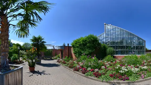 Beete und Gewächshaus im Botanischen Garten in Kiel. 