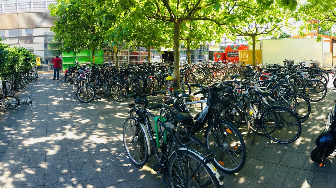 Fahrraddiebe in Spandau: Wo die meisten Räder gestohlen werden – die schlimmsten Orte