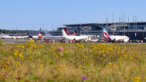 Flugzeuge stehen am Hamburger Flughafen. | Oliver Sorg Flugzeuge stehen am Hamburger Flughafen.