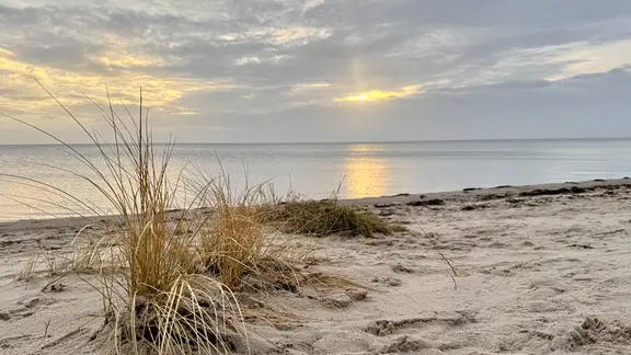 Der Anblick von ein paar Sonnenstrahlen über dem Wattenmeer bei Braderup erfreut Cornelia Göricke-Penquitt aus Sylt. | Cornelia Göricke-Penquitt Leichte Sonne über der Nordsee.