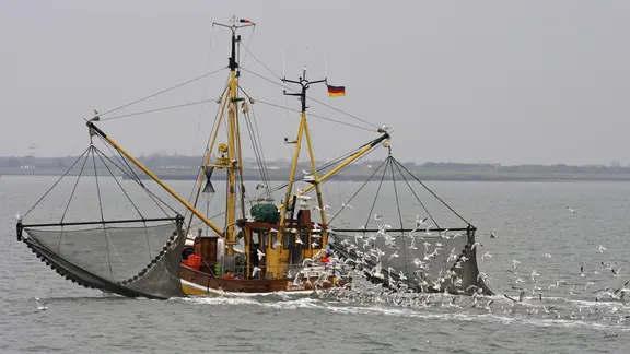 Ein Krabbenkutter fährt auf der Nordsee, Möwen sind um die Netze herum in der Luft. | picture alliance / imageBROKER | Anja Uhlemeyer-Wrona Ein Krabbenkutter fährt auf der Nordsee, Möwen sind um die Netze herum in der Luft.