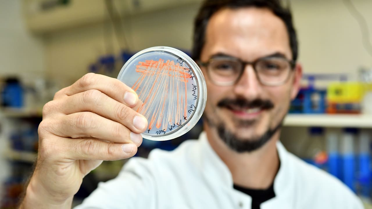 Berlin: Charité-Forscher lässt Darmbakterien Kosmetik produzieren | Regional