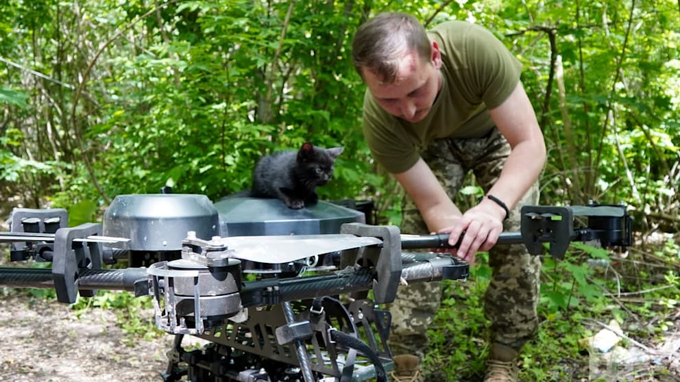 Das kleine, schwarze Katzenbaby sitzt nach seiner Rettung auf der Drohne, die es in Sicherheit geflogen hat