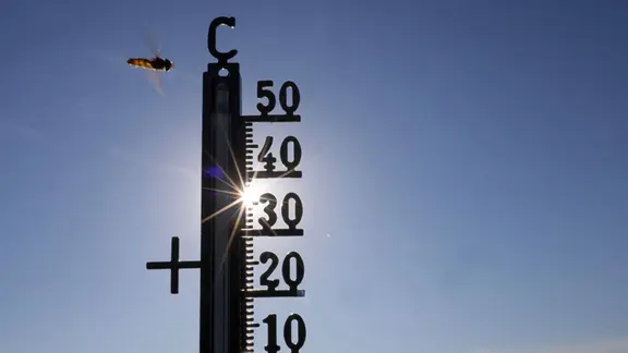 Die Sonne scheint hinter einem Thermometer, an dem eine Schwebefliege vorbeifliegt. | dpa-Bildfunk Die Sonne scheint hinter einem Thermometer, an dem eine Schwebefliege vorbeifliegt.