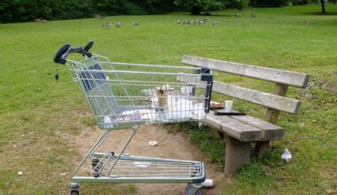 „Naherholungsgebiet“ in Stuttgart: Grillen, Müll und Brände – warum die Situation am Max-Eyth-See eskaliert