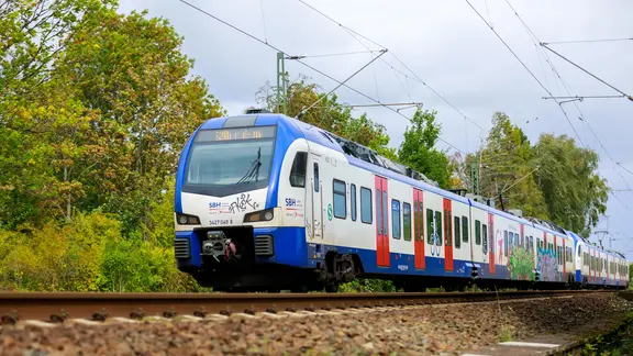 Eine S-Bahn fährt auf freier Strecke.