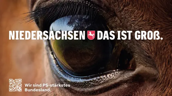 EIn Plakat mit einem Pferd zeigt den neuen Slogan von Niedersachsen: Das ist Groß | Niedersachsen.next GmbH EIn Plakat mit einem Pferd zeigt den neuen Slogan von Niedersachsen: Das ist Groß