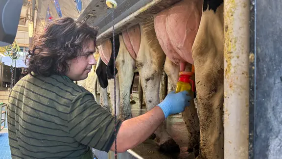 Ein Mann mit längeren dunklen Haaren steht in einer Melkhalle und nimmt eine Milchprobe bei einer Kuh. | Theresa Ehrl, NDR Ein Mann mit längeren dunklen Haaren steht in einer Melkhalle und nimmt eine Milchprobe bei einer Kuh.