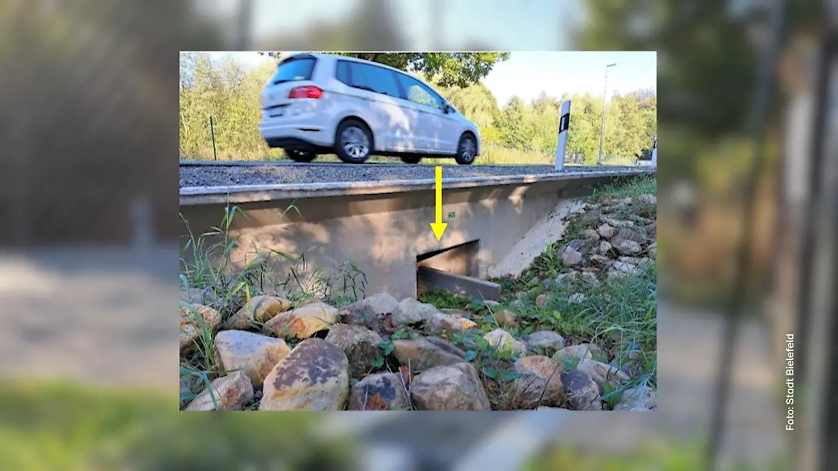 Vollsperrung wegen Amphibientunneln: Anwohner in Bielefeld fürchten um ihre Existenz