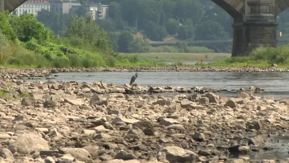 Elbe in Dresden | MDR Elbe in Dresden