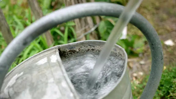 Eine Gießkanne wird mit Wasser gefüllt. | NDR, Udo Tanske Eine Gießkanne wird mit Wasser gefüllt.
