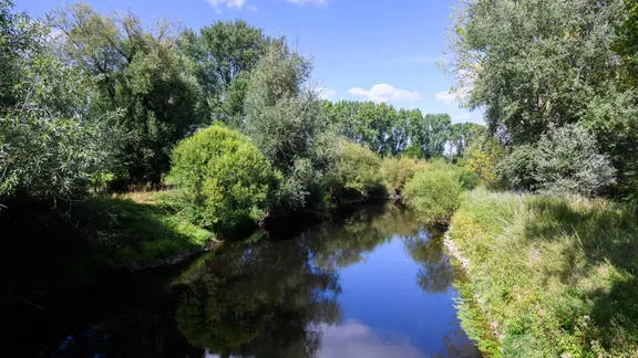 Der Fluss Leine schlängelt sich durch in die Leinemasch in der Region Hannover (Themenbild: Masterplan Wasser) | Julian Stratenschulte, dpa Der Fluss Leine schlängelt sich durch in die Leinemasch in der Region Hannover (Themenbild: Masterplan Wasser)
