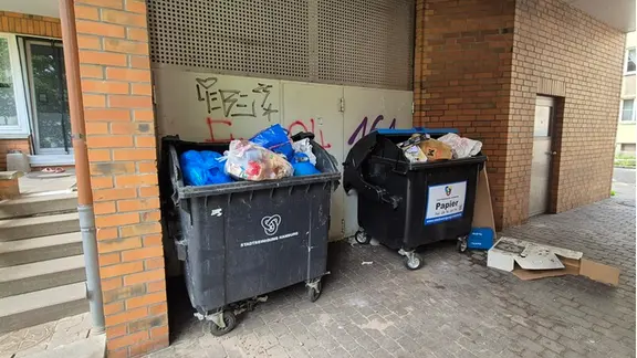 Locken offene Müllbehälter die Tiere an? | Jörn Frommann Volle Müllcontainer stehen in einer Wohnanlage in Hamburg-Wilhelmsburg.