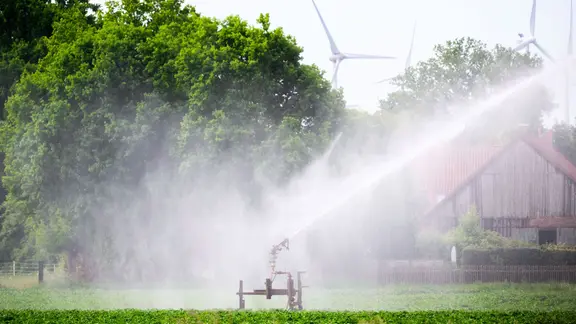 Ein Wassersprenger bewässert ein Feld mit Kartoffeln in der Region Hannover. | dpa-Bildfunk, Julian Stratenschulte Ein Wassersprenger bewässert ein Feld mit Kartoffeln in der Region Hannover.