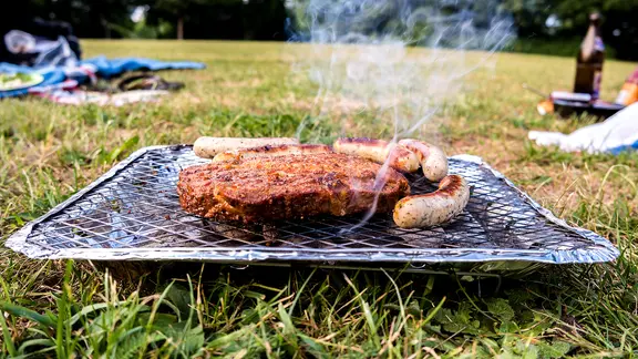 Wegwerfgrill im Park