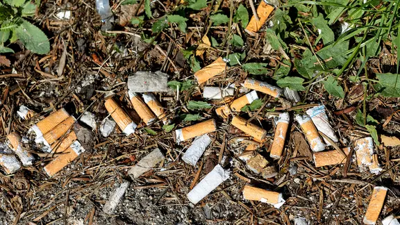 Weggeworfene Zigarettenkippen. | picture alliance / Weingartner-F Weggeworfene Zigarettenkippen.