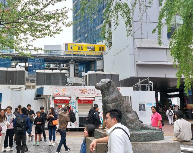 Farblich könnte es die Berliner U-Bahn sein, zu sehen ist jedoch ein Zug der Seibu-Privatbahn am Bahnhof Tokio-Shibuya.