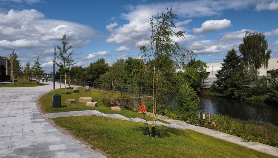 Geschwungener Weg durch einen Landschaftspark mit Bäumen, Rasenflächen und kleinem Gewässer