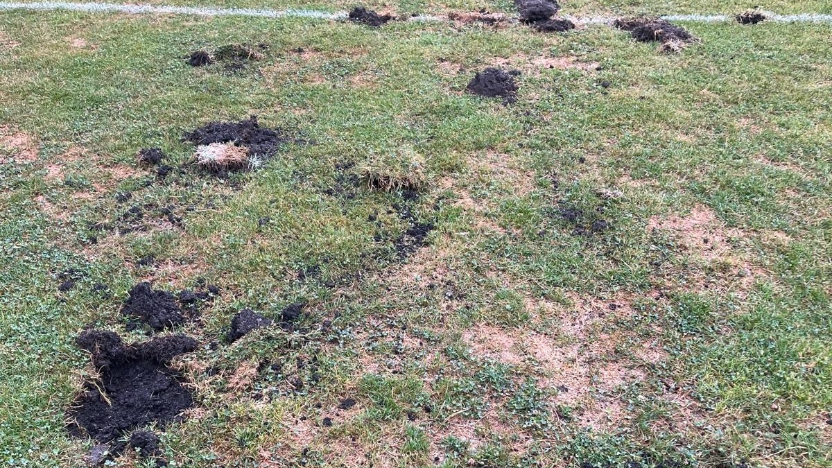 Vandalismus in Wermsdorf: Sportplatz vor Saisonstart zerstört – Polizei ermittelt | Sport