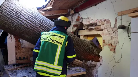 Vor einem Jahr bohrte sich ein Eichenstamm in das Haus von Familie Hagen. | MITTELDEUTSCHER RUNDFUNK Baumsturz Bilder