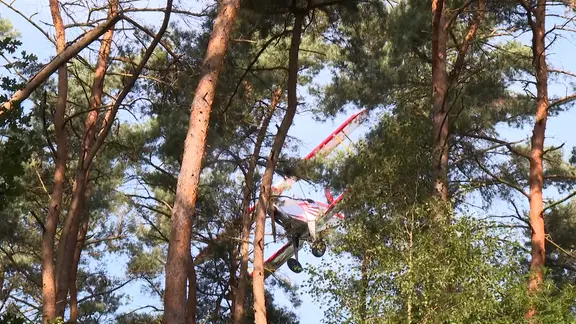 Ein Flugzeug steckt in dem Baumwipfeln in einem Wald | NDR, NDR Screenshot Ein Flugzeug steckt in dem Baumwipfeln in einem Wald