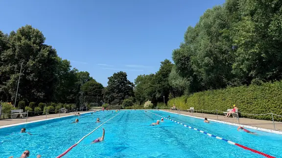 Mehrere Menschen schwimmen unter blauem Himmel in einem Freibad, an dn Seiten gibt es Bäume. | Katharina Reisch, NDR Mehrere Menschen schwimmen unter blauem Himmel in einem Freibad, an dn Seiten gibt es Bäume.