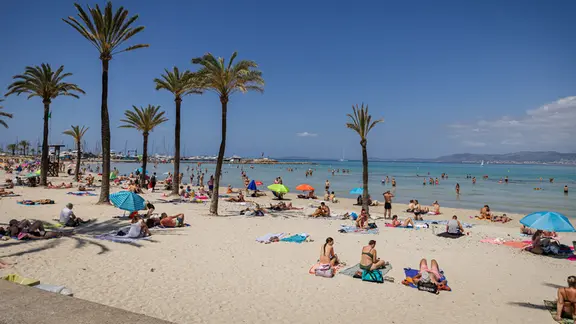 Der Strand von Palma de Mallorca, Spanien. | picture alliance / Eibner-Pressefoto | DROFITSCH/EIBNER Der Strand von Palma de Mallorca, Spanien.