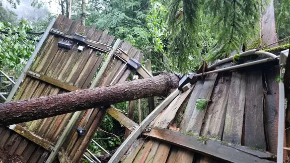 Noch ist unklar, wie groß das Ausmaß der Zerstörung bei der Felsenbühne Rathen ist. | Luise Scheermesser Ein Baum ist in einen Zaun gefallen