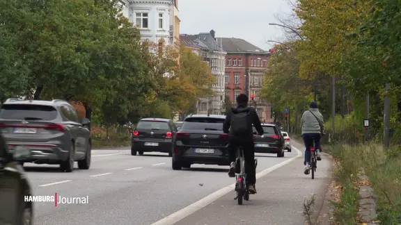 Ein Radweg neben einer Hauptverkehrsstraße. | Screenshot Ein Radweg neben einer Hauptverkehrsstraße.