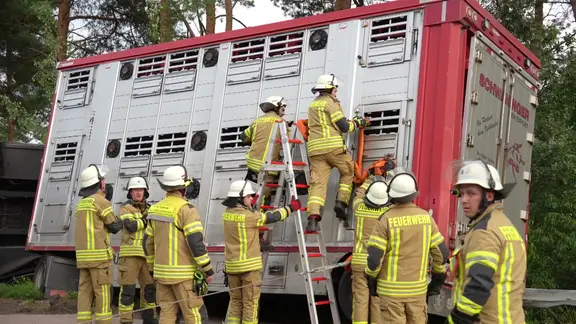 Der Viehtransporterfahrer war auf ein anderes Fahrzeug aufgefahren. | Nord-West-Media TV Tiertransporter, davor Feuerwehrkräfte bei einem Unfall auf der A1 bei Stuhr.