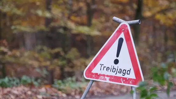 Ein Warnschild mit der Aufschrift Treibjagd