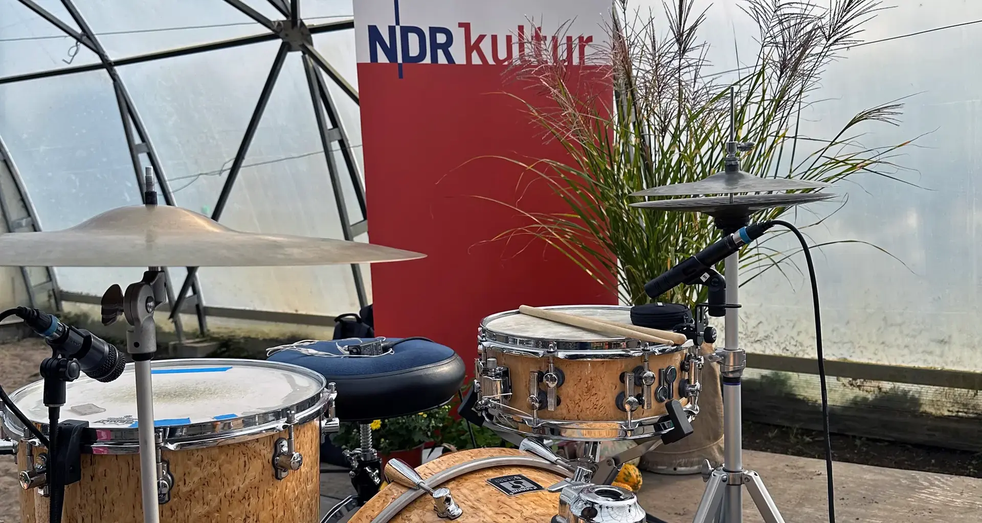 NDR Kultur PopUp! Konzerte: Bewerben Sie sich hier