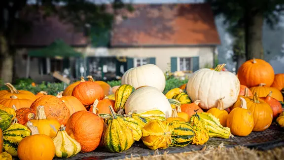 Bunte Kürbisse liegen auf Strohballen und im Hintergrund steht ein Bauernhaus. | imago images / Countrypixel Bunte Kürbisse liegen auf Strohballen und im Hintergrund steht ein Bauernhaus.