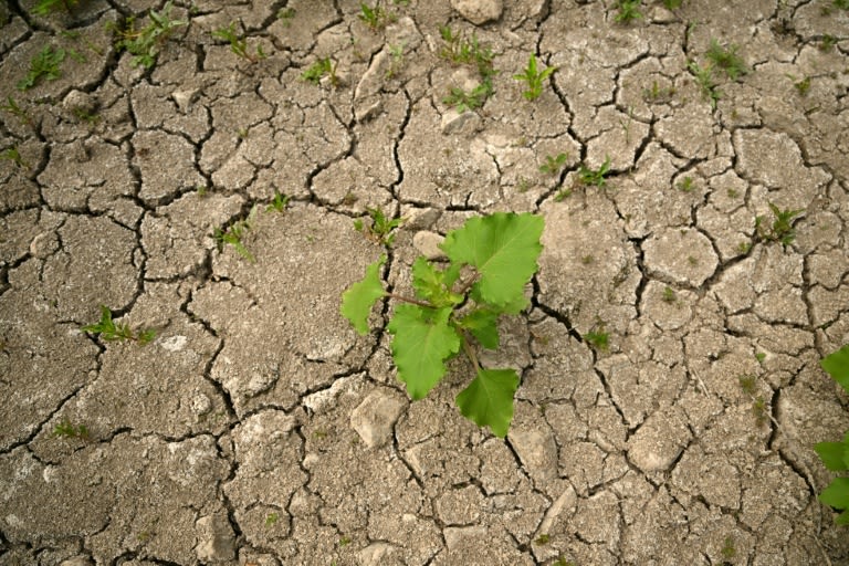 Wasserdefizit in Deutschland: Erholung durch mehr Herbstregen fraglich