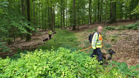 Zwölf Leichenspürhunde waren im Einsatz. | NDR, Frank Goldenstein Einsatzkräfte durchsuchen mit Leichenspürhunden ein Waldstück in Glücksburg.