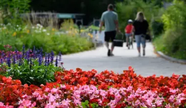 Spaziergänger gehen an blühenden Blumen auf dem früheren Gelände der Landesgartenschau entlang.