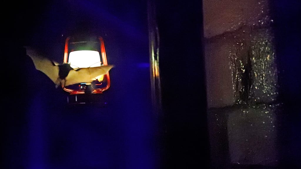 From Denmark to the UK: Why European cities are installing red street lighting