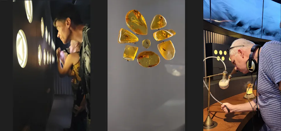 Amber Museum Lithuania